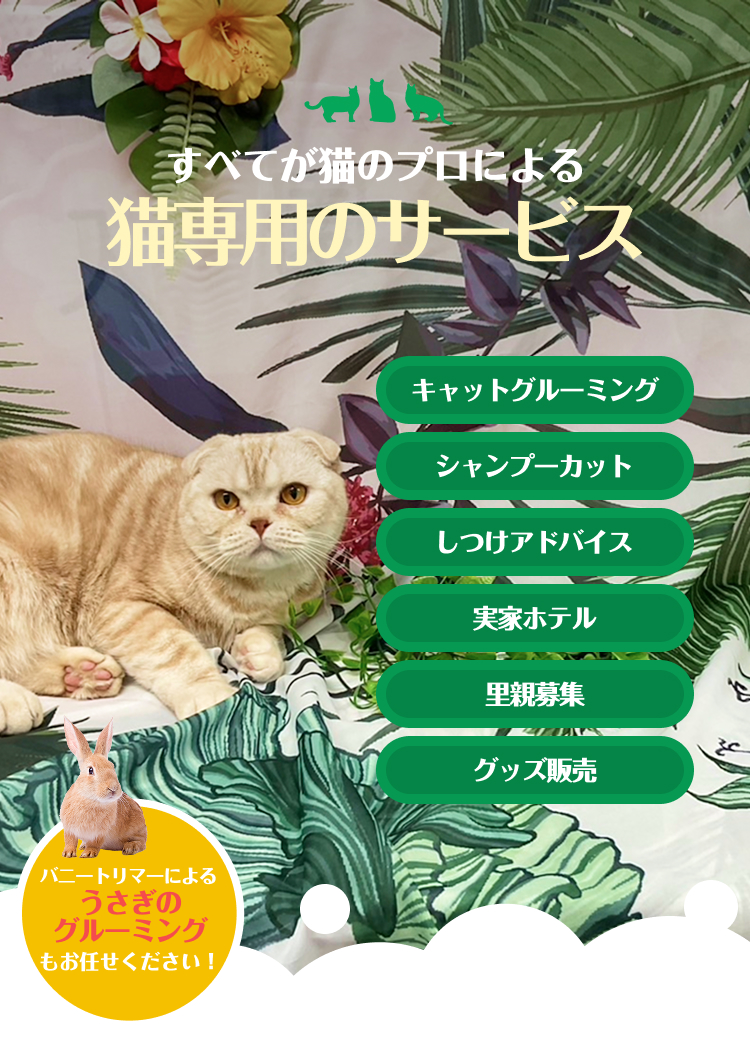 Top_slide_sp2